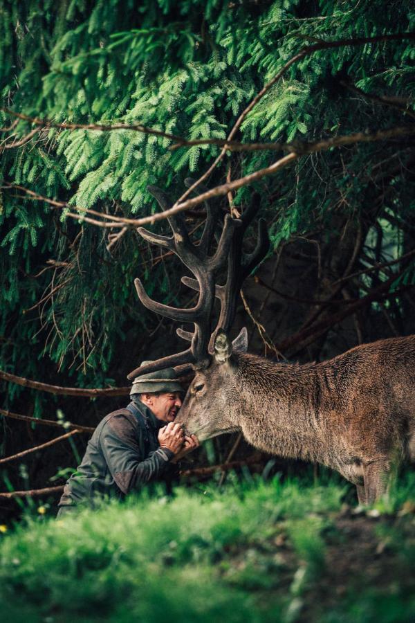 Torghele'S Wald & Fluh Otel Balderschwang Dış mekan fotoğraf